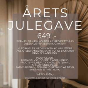 ÅRETS JULEGAVE